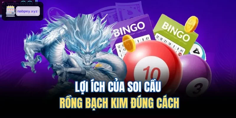 Lợi ích khi soi cầu rồng bạch kim đúng phương pháp
